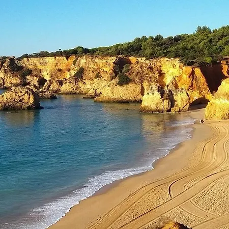 Casa Vau *