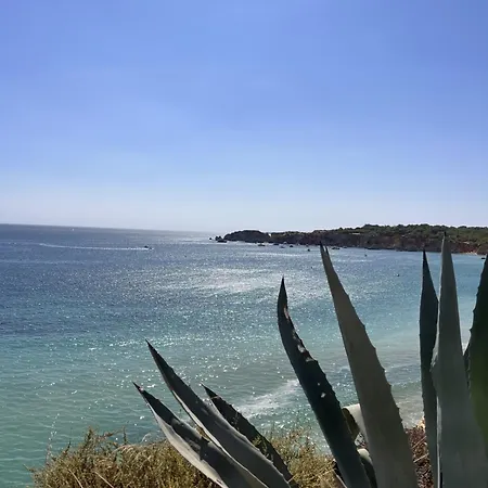 Casa Vau